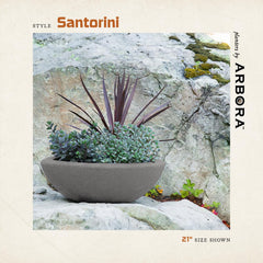 ARBORA Santorini Bowl side profile showing low bowl shape and easy placement benefit