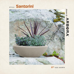 ARBORA Santorini Bowl side profile demonstrating shallow wide shape and planting space