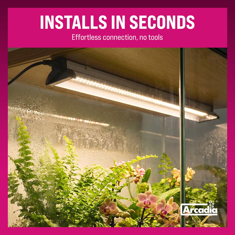 Arcadia Jungle Dawn lighting plant shelf to show vibrant growth and display