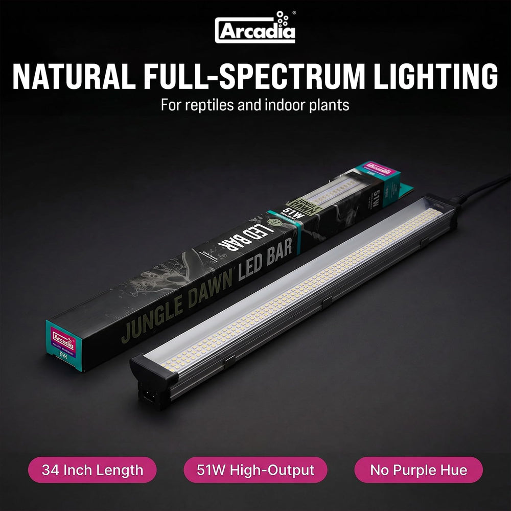 Arcadia Jungle Dawn link cable connection illustrating easy multi-unit setup