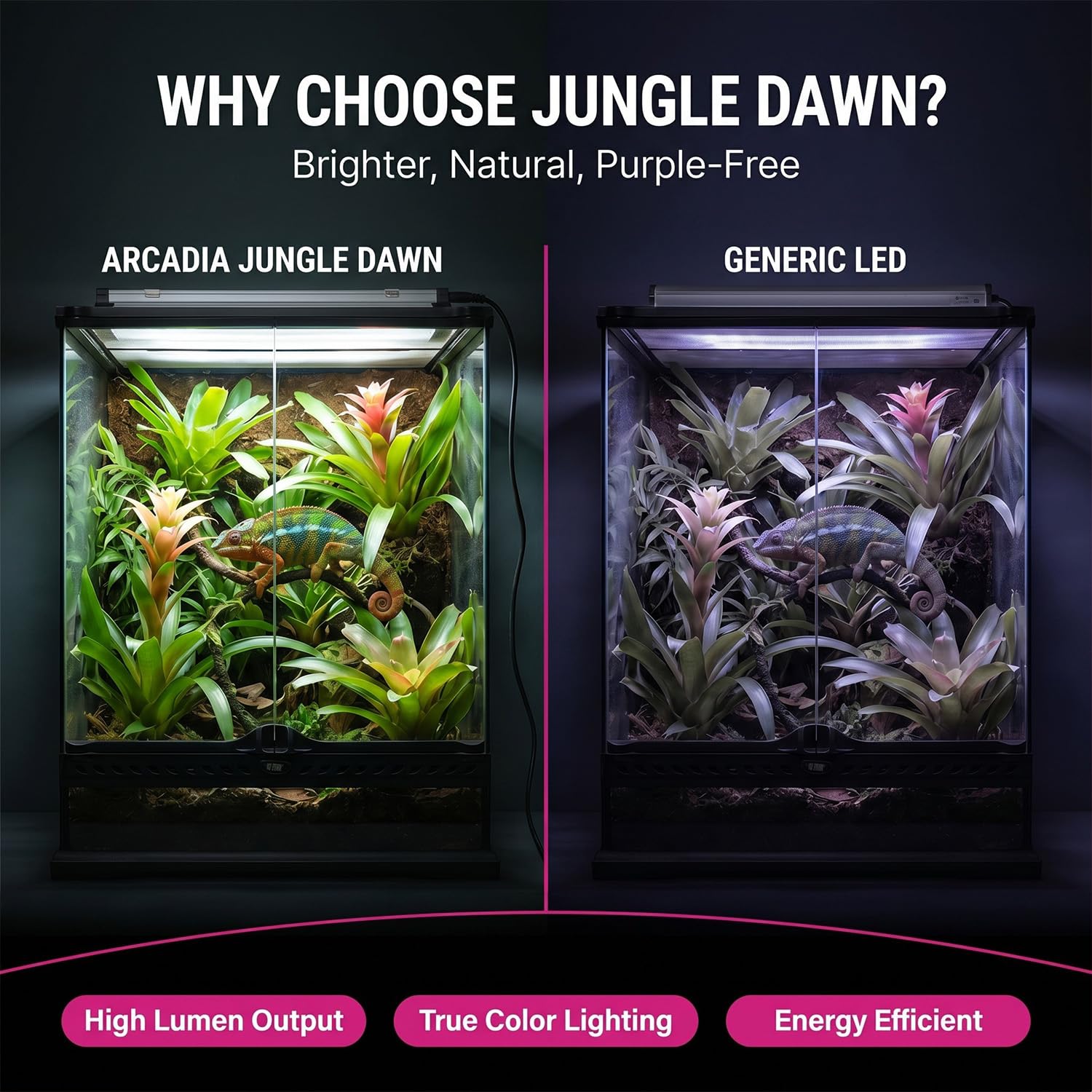 Arcadia Jungle Dawn next to ruler showing 34-inch scale and fitment benefit