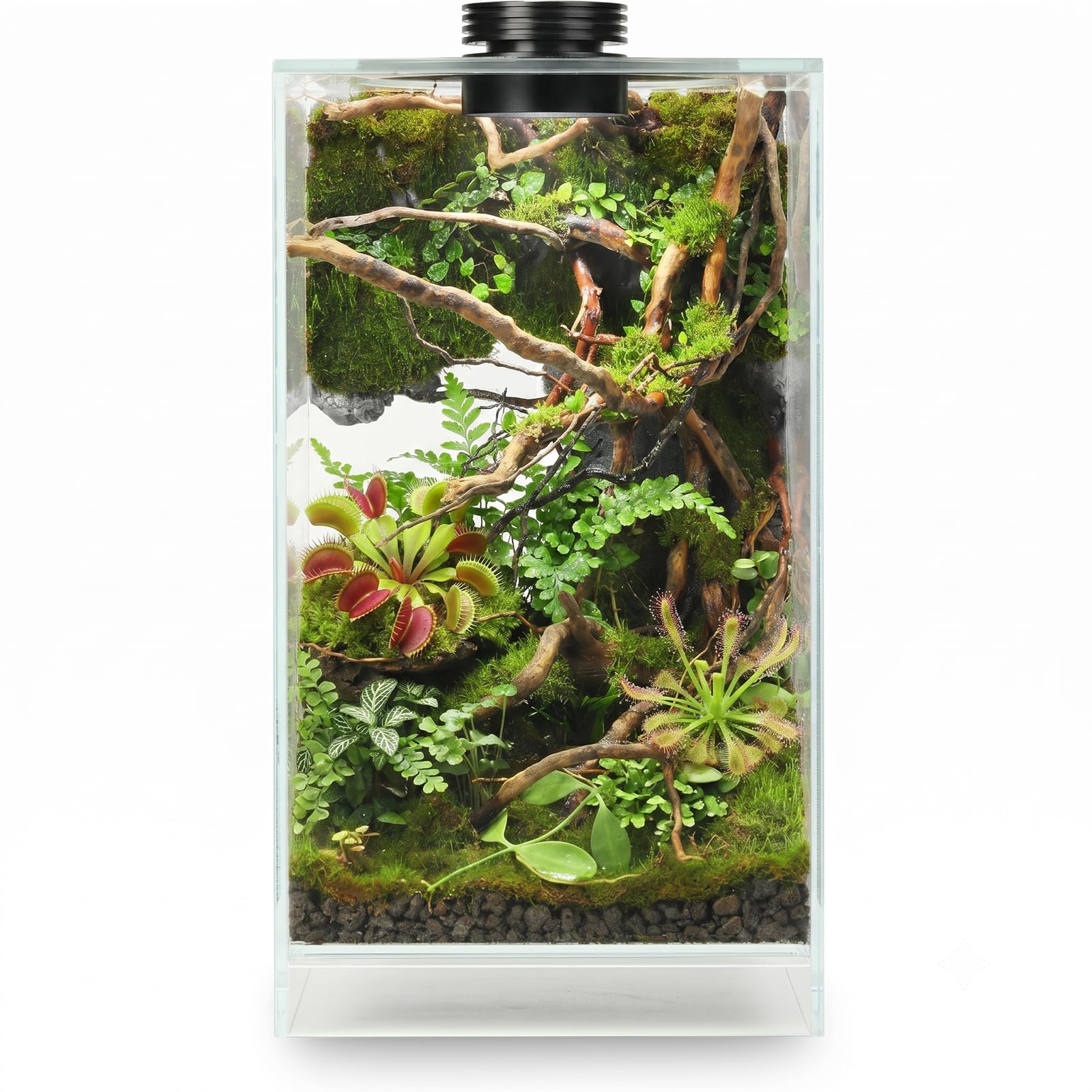 AREPK front view terrarium showcasing clear glass and elegant silhouette for display