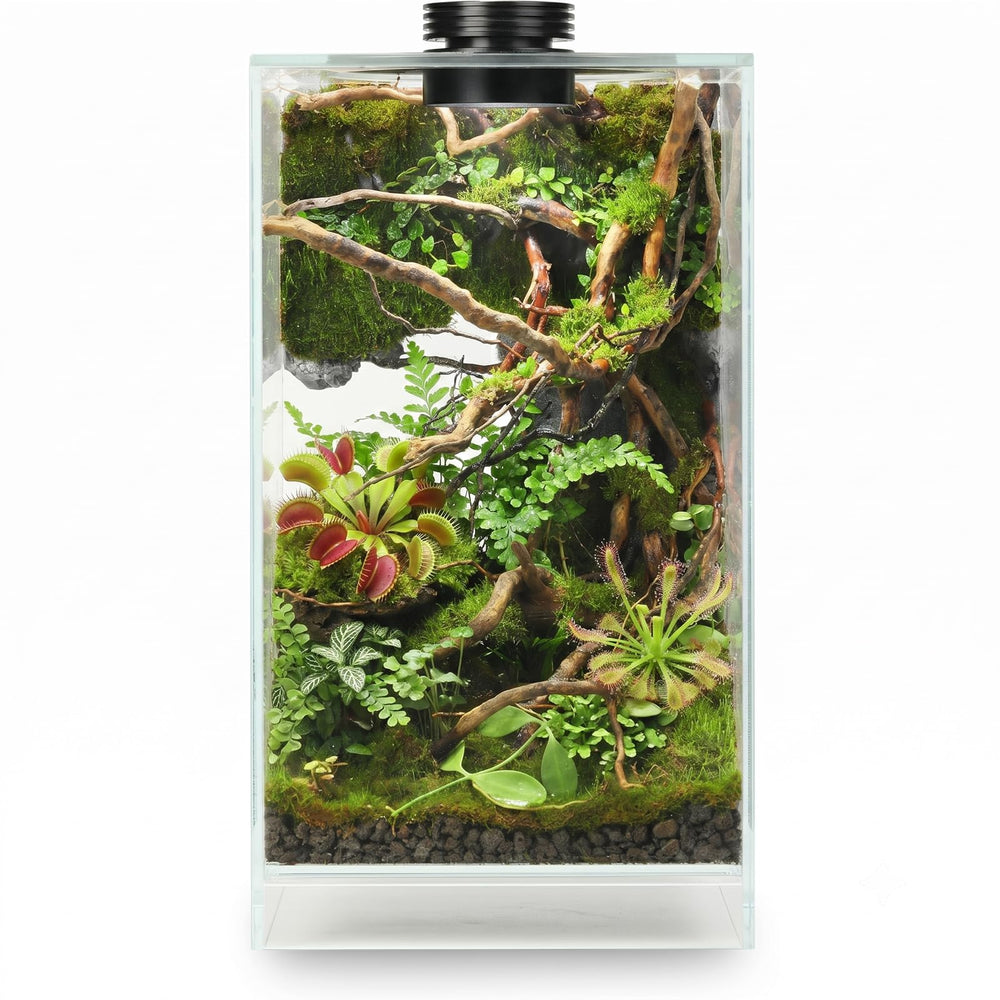 AREPK front view terrarium showcasing clear glass and elegant silhouette for display