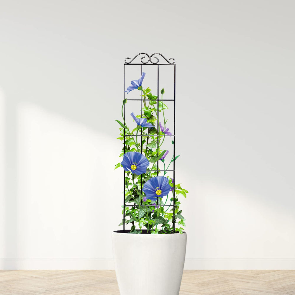 ARIFARO trellises on a patio illustrating modern black finish enhancing decor
