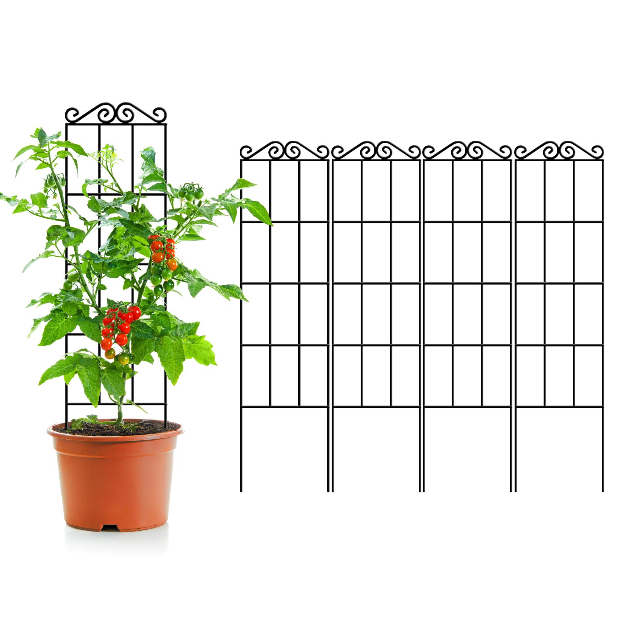 ARIFARO front view of four trellis panels showing sleek black support and tidy display
