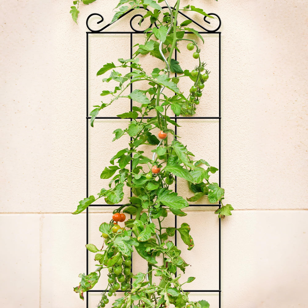 ARIFARO multiple trellises installed in garden row creating an organized vertical screen