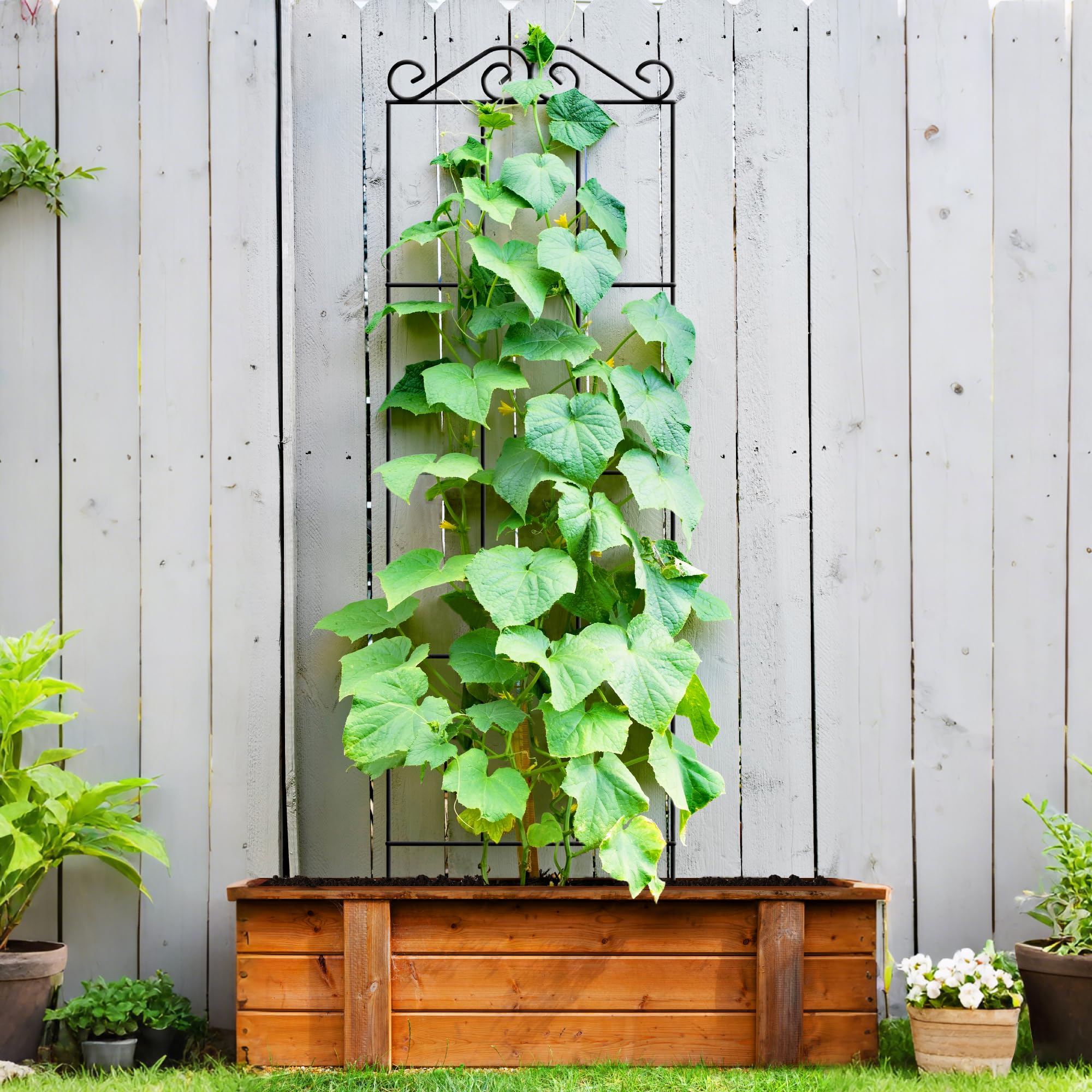 ARIFARO trellis on balcony with vines demonstrating decorative and practical use