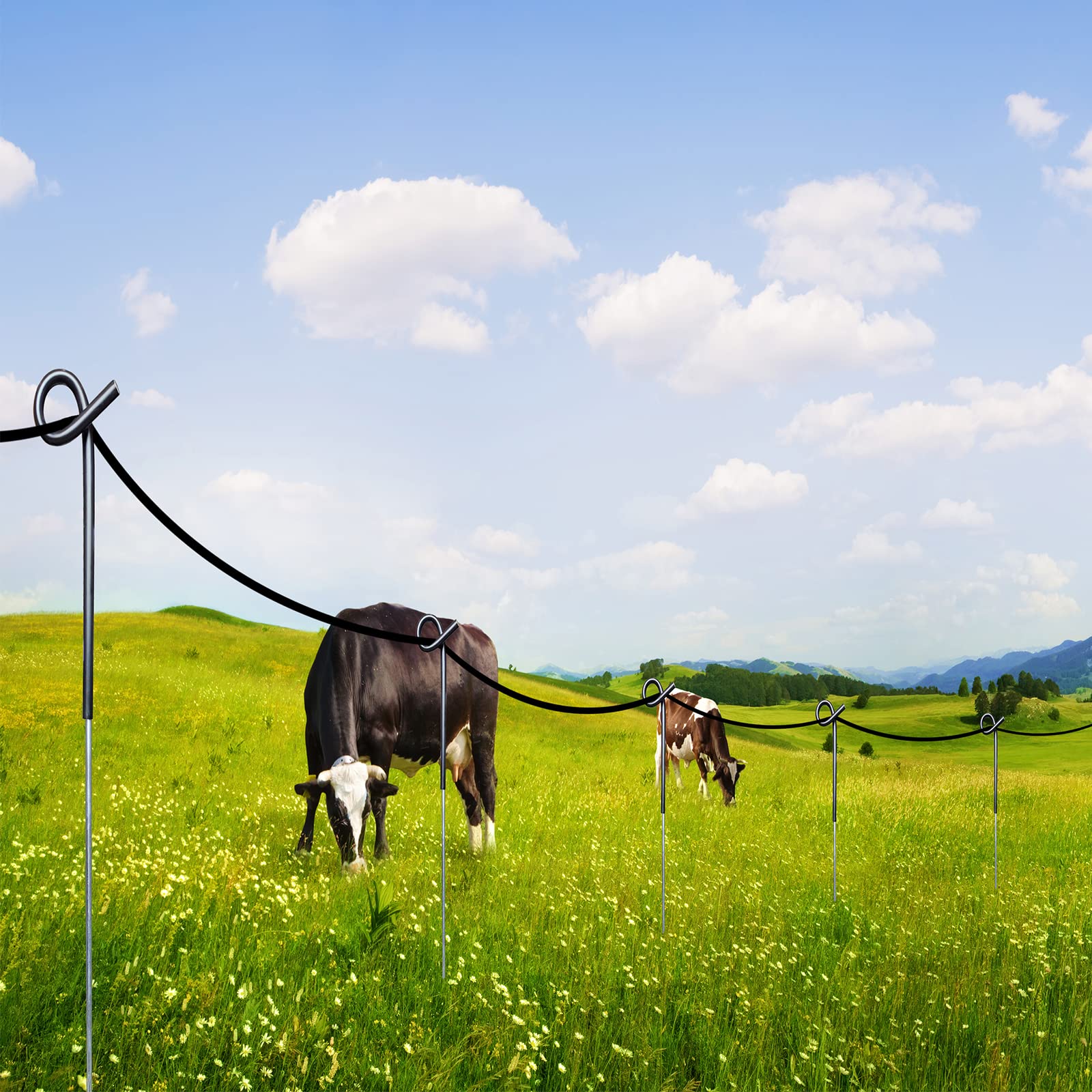 ARIFARO post with polywire attached demonstrating secure livestock control