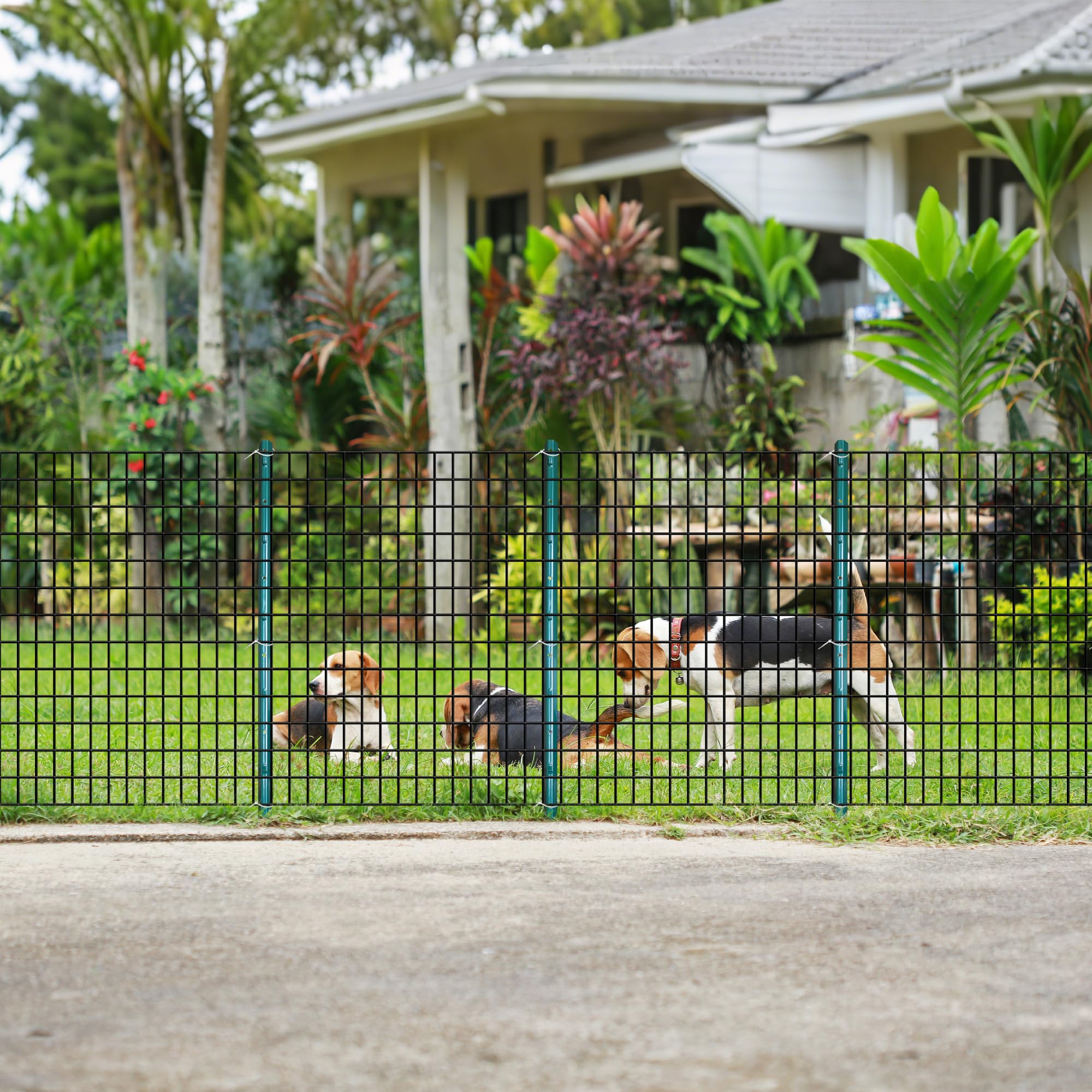 ARIFARO posts supporting garden mesh to protect plants effectively