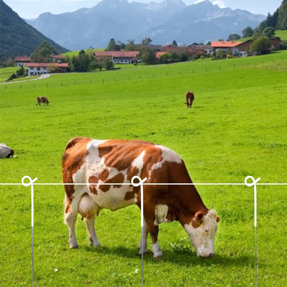 ARIFARO hand holding post showing length and portability benefit