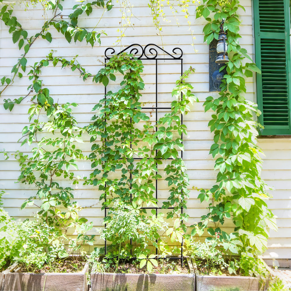 ARIFARO trellis beside ruler showing 47-inch height for correct scale