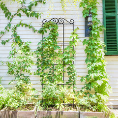 ARIFARO trellis placed in a planter supporting climbing vines for tidy growth