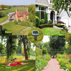 Ariie stake deployed in a garden showing yard protection from burrowing pests