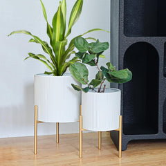 ARNIS front view of two white and gold planters showing modern appeal