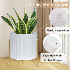 ARNIS large planter with snake plant showing room-enhancing greenery