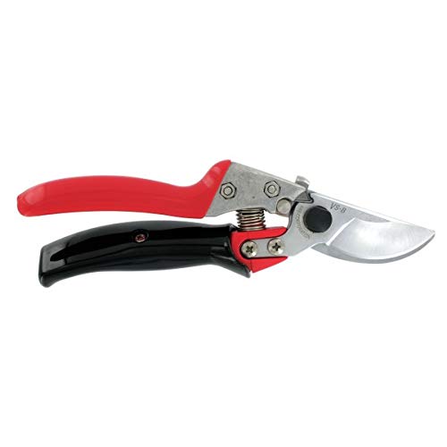 ARS HP-VS8XR blade close-up with hard chrome plating for long-lasting sharpness and rust resistance