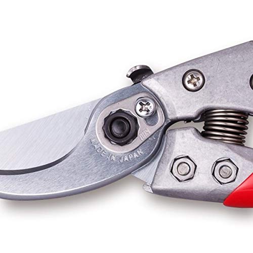 ARS HP-VS8XR in use cutting a rose stem demonstrating rotating handle reducing wrist strain