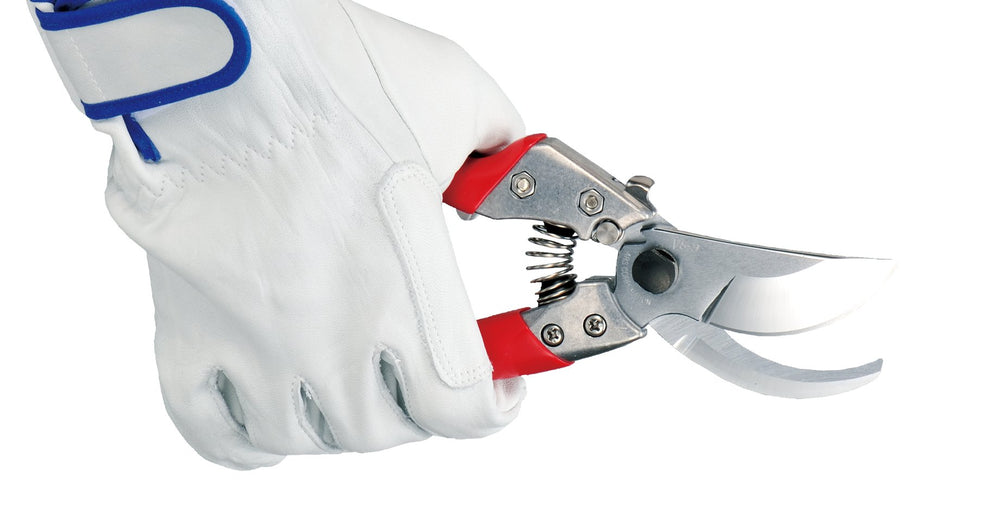 ARS pruner next to a gloved hand showing 9-inch scale and ergonomic fit