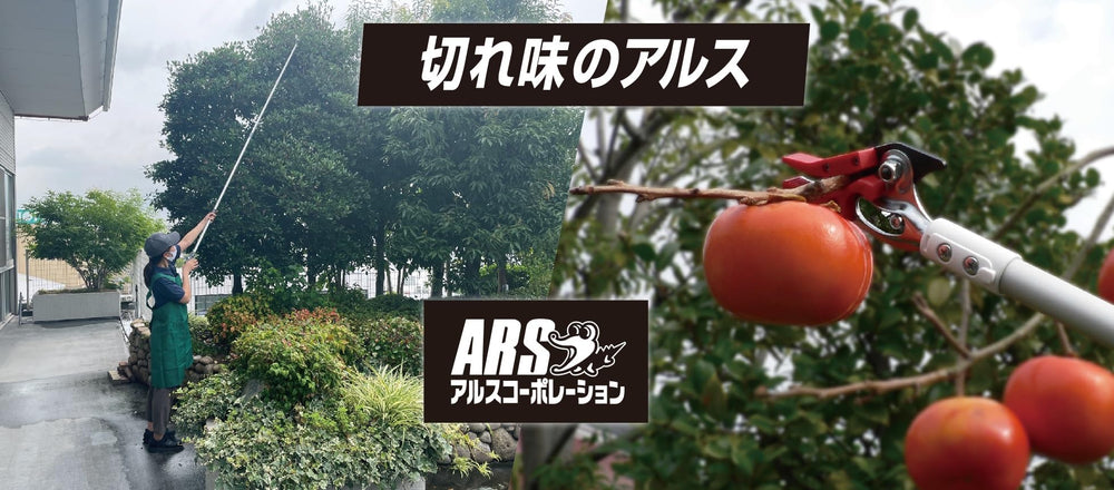 ARS in-use pruning tree illustrating safe ladder-free high branch trimming