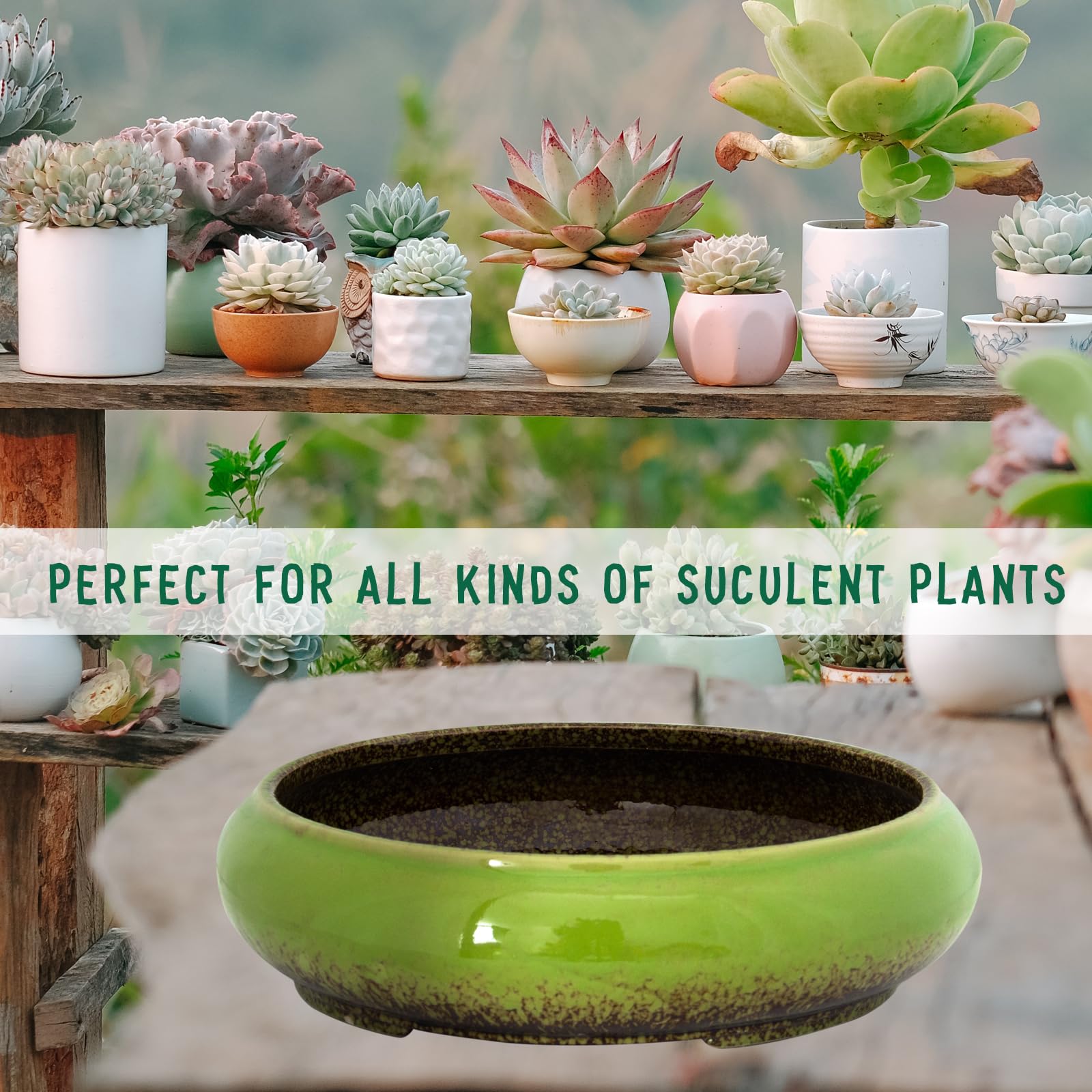 ARTKETTY empty bowl interior showing shallow depth suitable for succulents