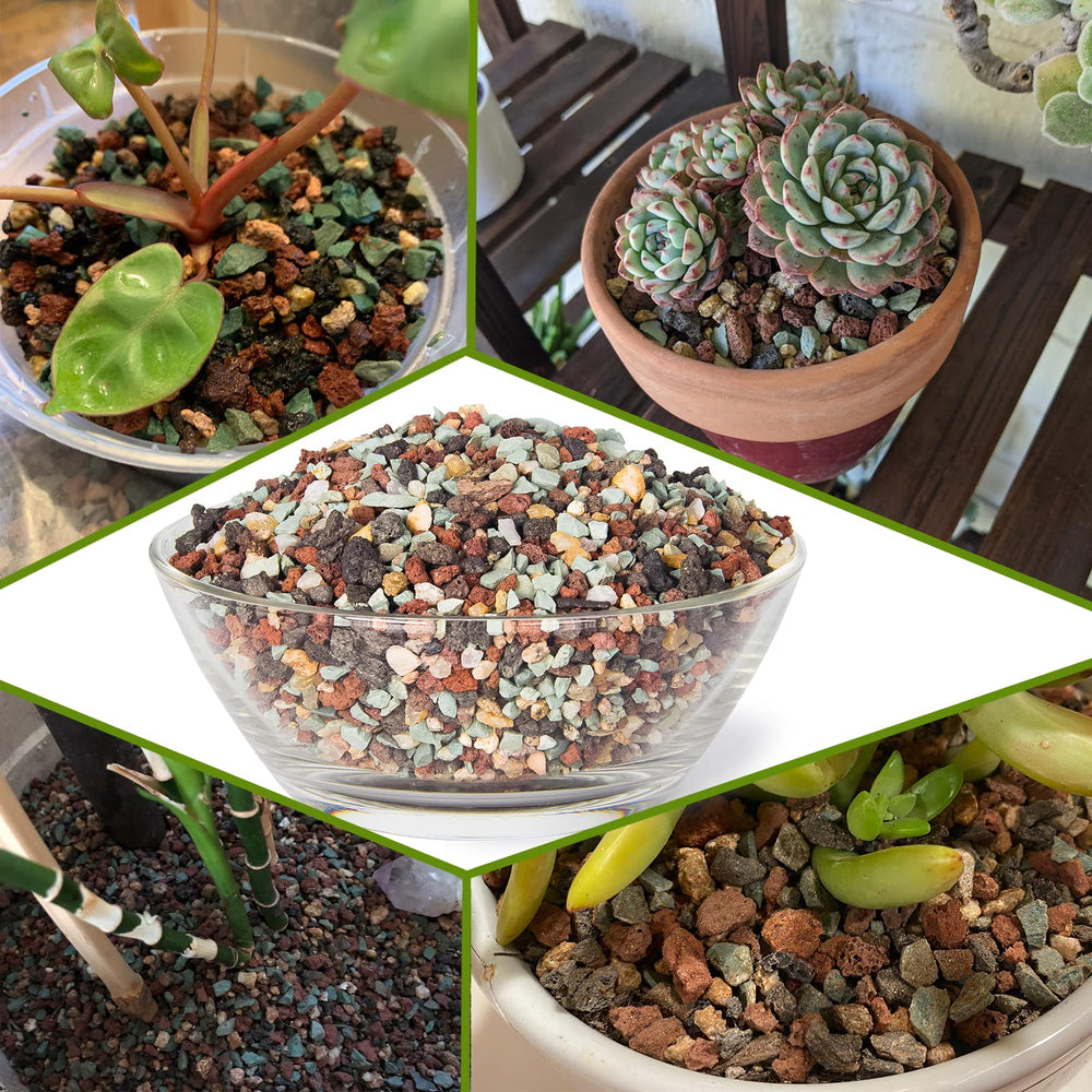 ARTKETTY planter on windowsill with succulents enhancing indoor light and style