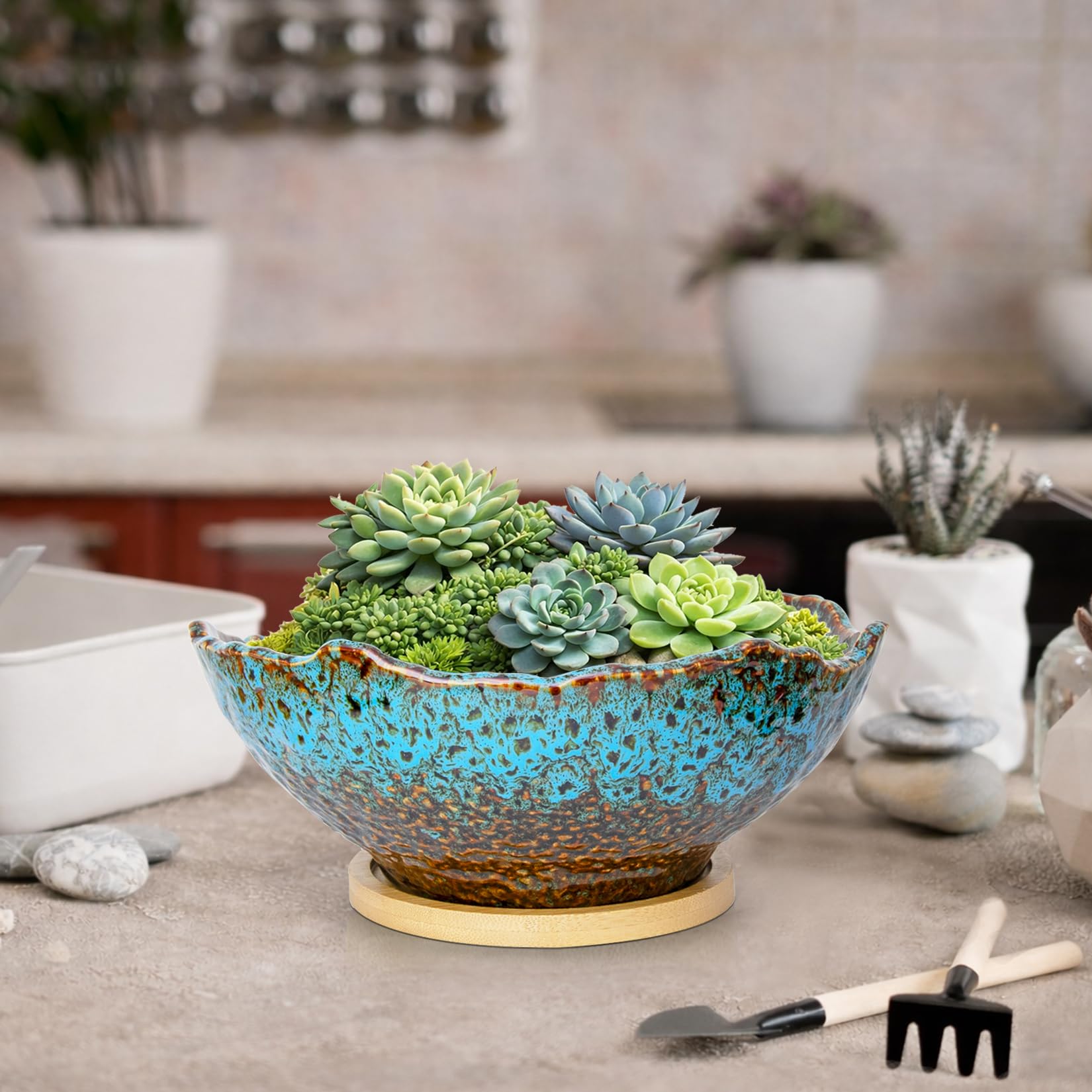 ARTKETTY bonsai planted in pot showing styling potential and healthy display