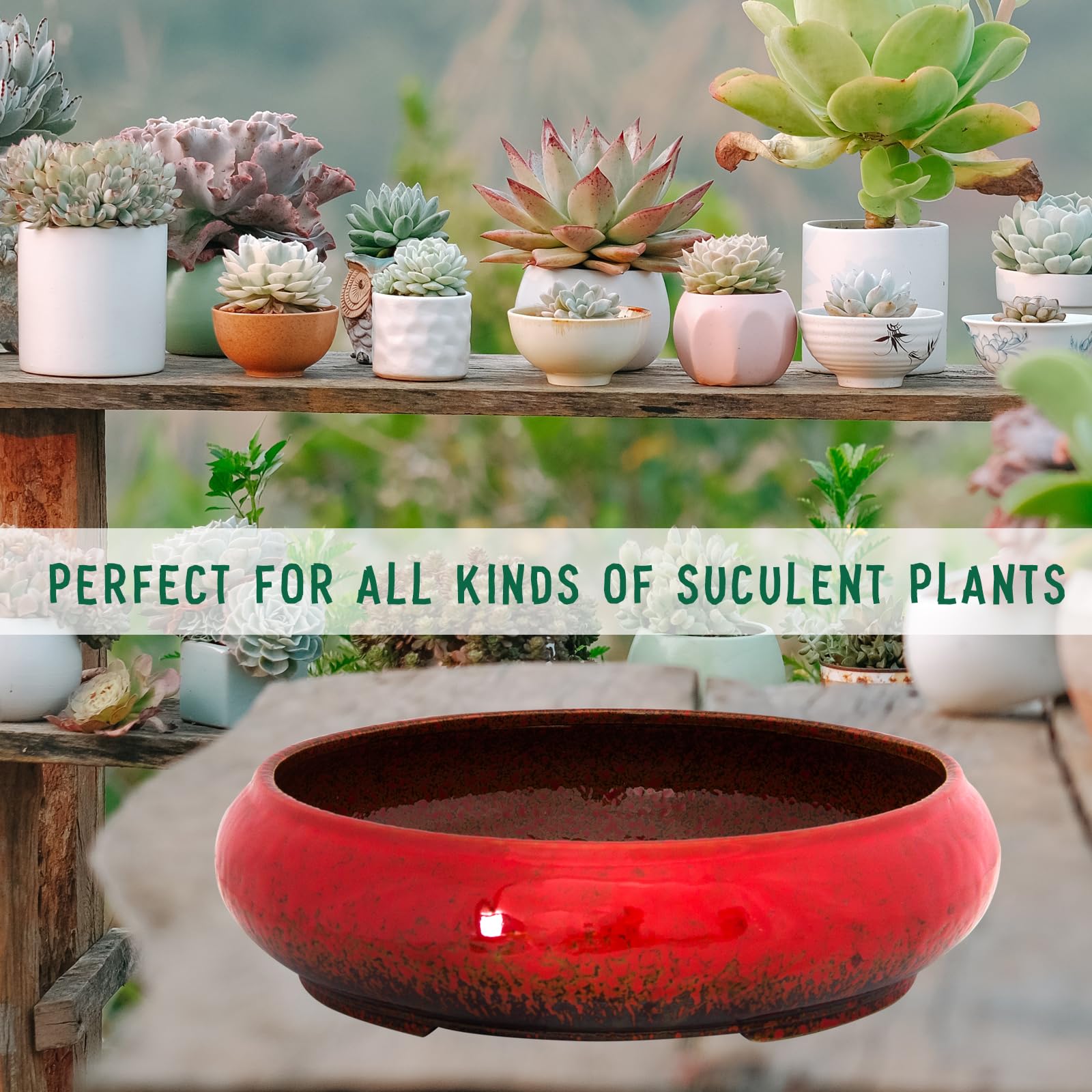 ARTKETTY styled on tabletop with decor, adds vibrant color and modern design