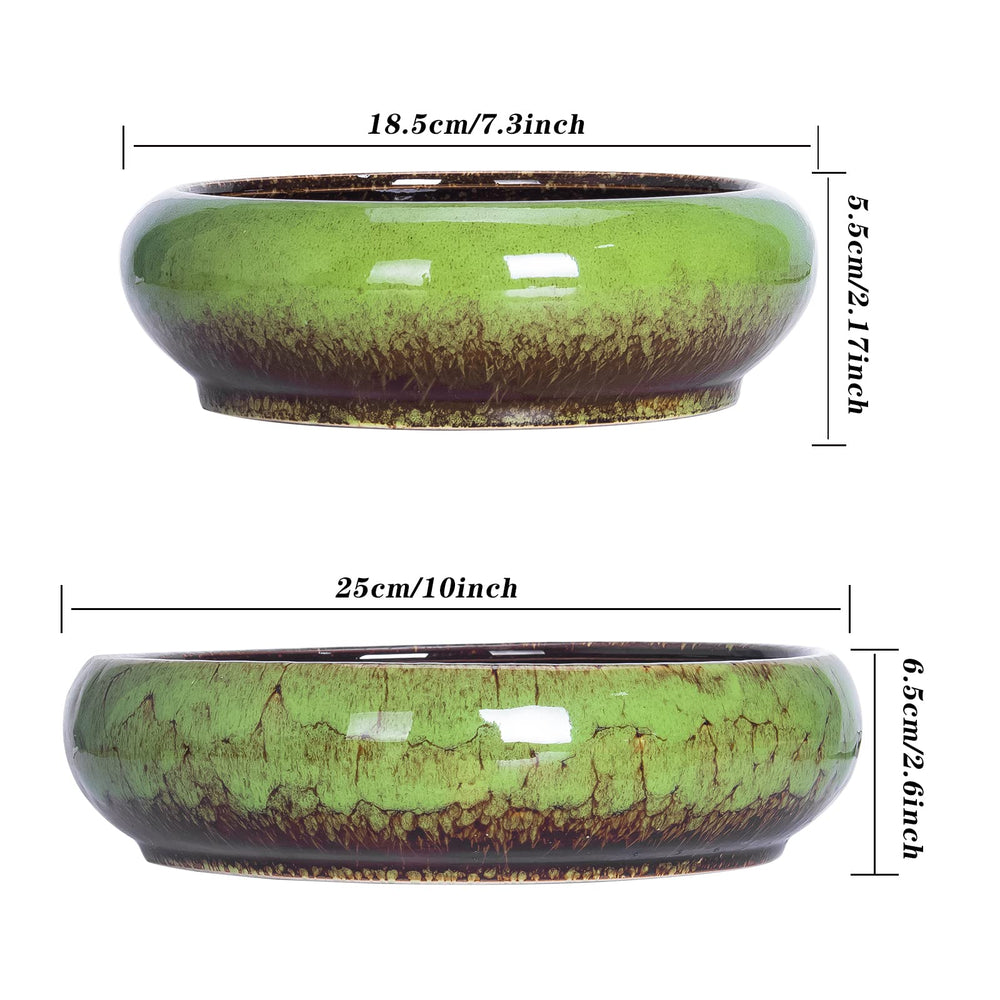 ARTKETTY pot size comparison beside a hand showing scale for plant selection