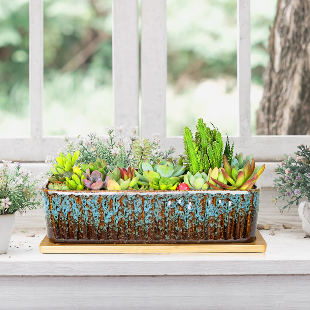 ARTKETTY styled desk mini-garden demonstrating organized plant grouping and decorative benefit