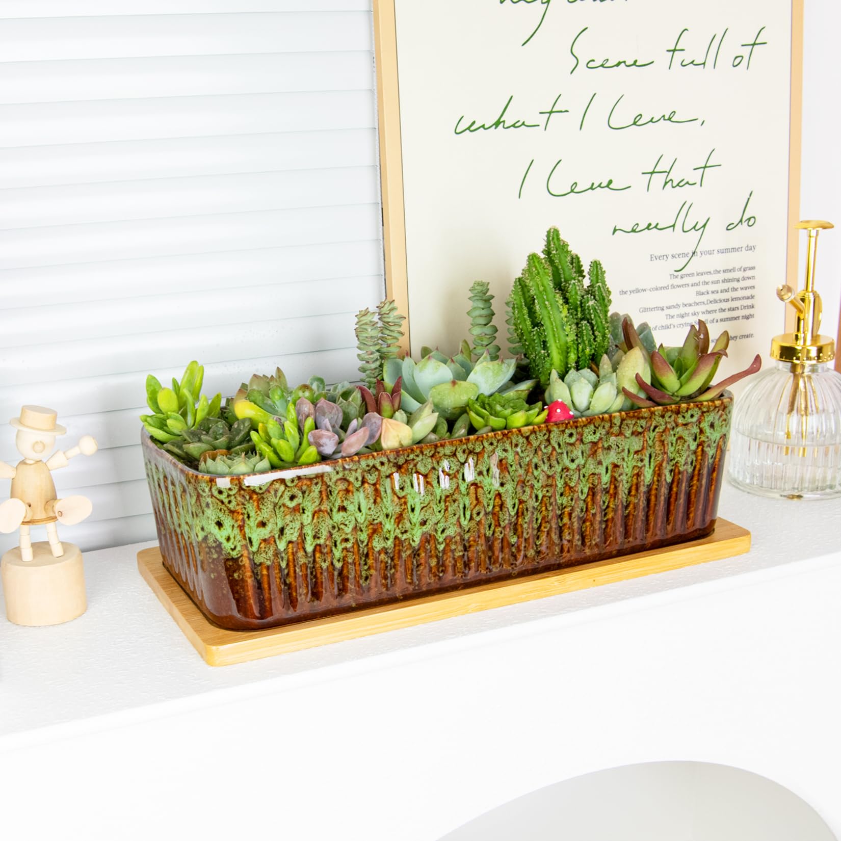 ARTKETTY planted with succulents demonstrating shallow design for healthy roots