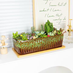 ARTKETTY planted with succulents demonstrating shallow design for healthy roots