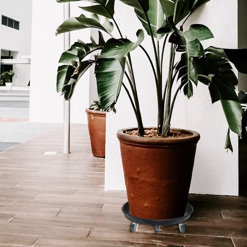 ARTLINE tray holding soil and water to demonstrate no-hole protection