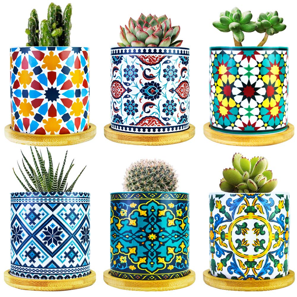 Ascrafter front view six-pack showing multicolor mandala pots and neat display benefit