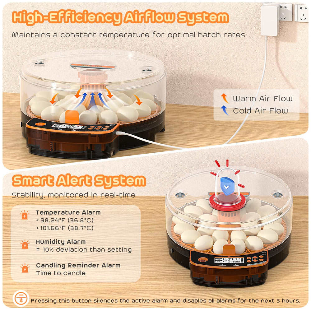 AsFrost transparent dome revealing embryo development for easy observation