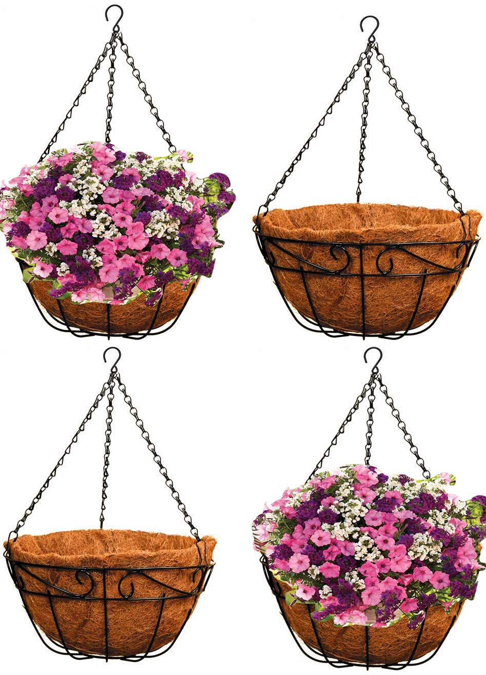 Ashman front view of four-pack hanging baskets showing coordinated style and ease