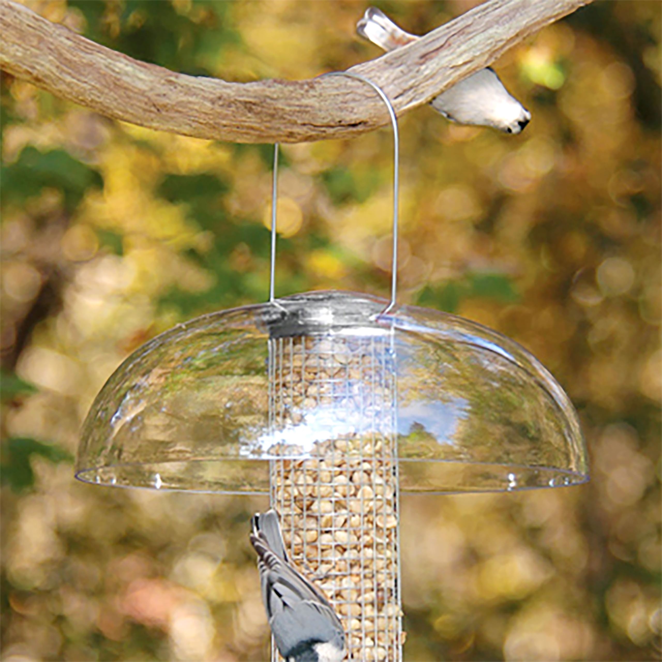 Aspects dome in snowy yard lifestyle image showing protection for feeder in winter