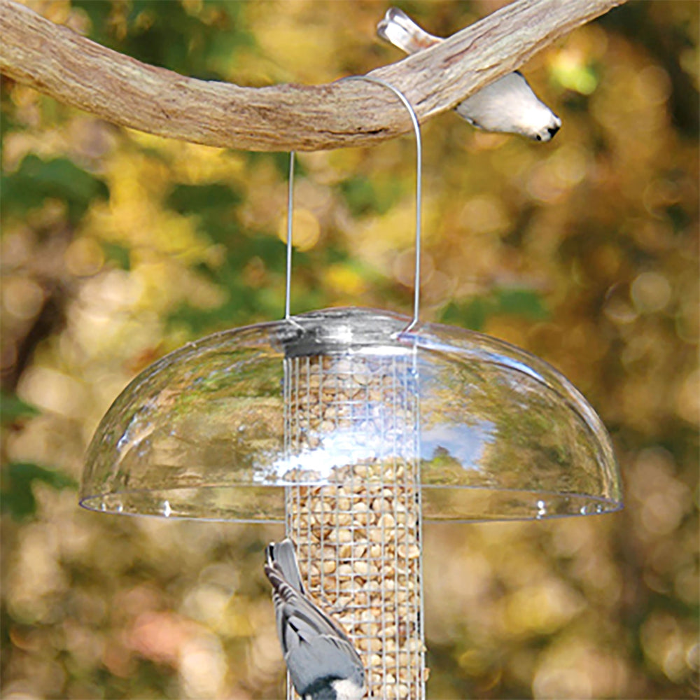 Aspects dome in snowy yard lifestyle image showing protection for feeder in winter