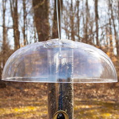 Aspects dome mounted on tube feeder demonstrating easy attachment and seed protection