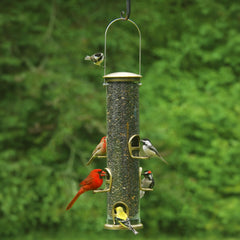 Aspects 420 close-up of cardinal perch delivering secure support for larger birds