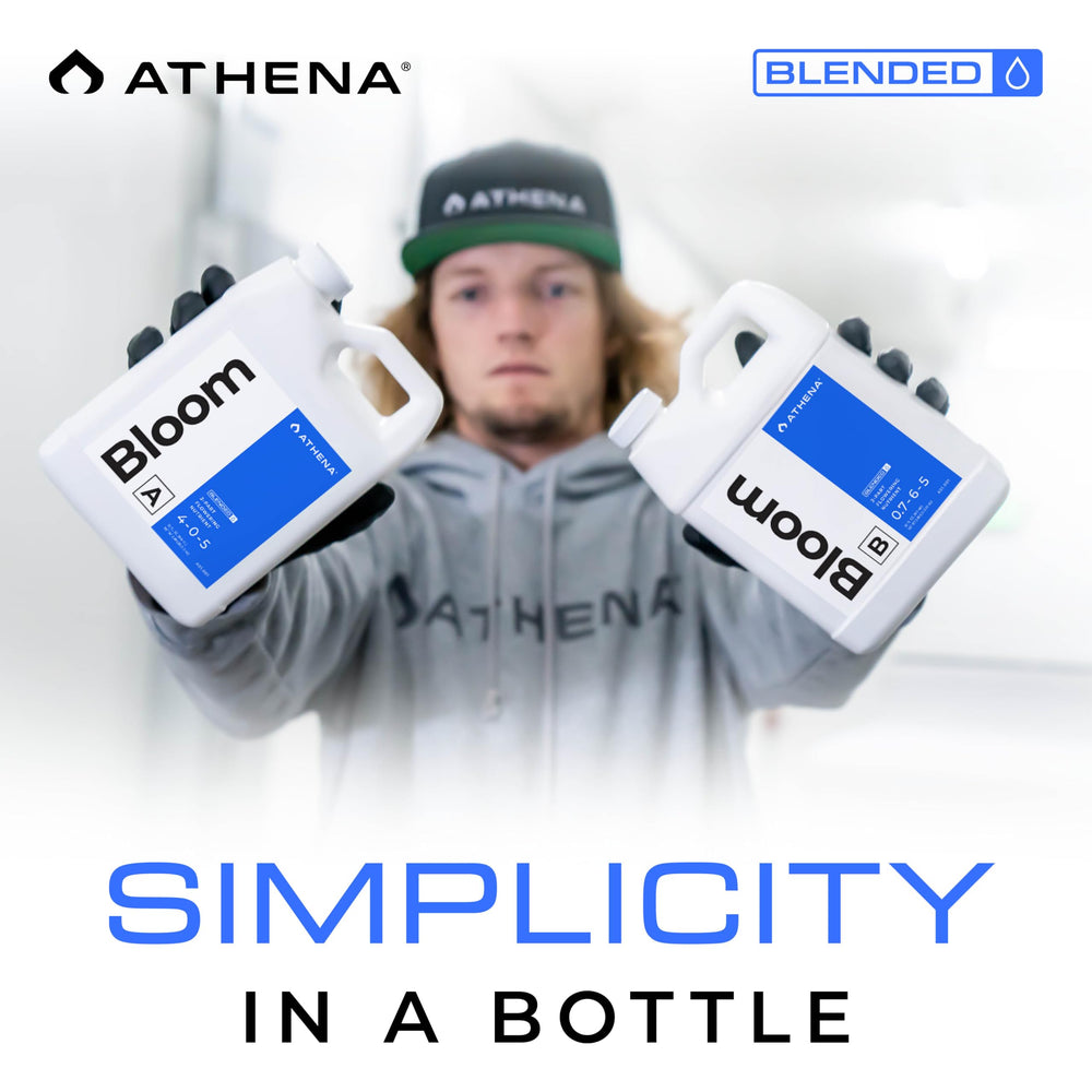 Athena bottle beside printed feeding chart illustrating straightforward dosing