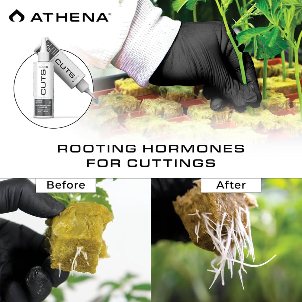 Athena bottle applicator close-up for precise low-waste application