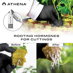 Athena bottle applicator close-up for precise low-waste application