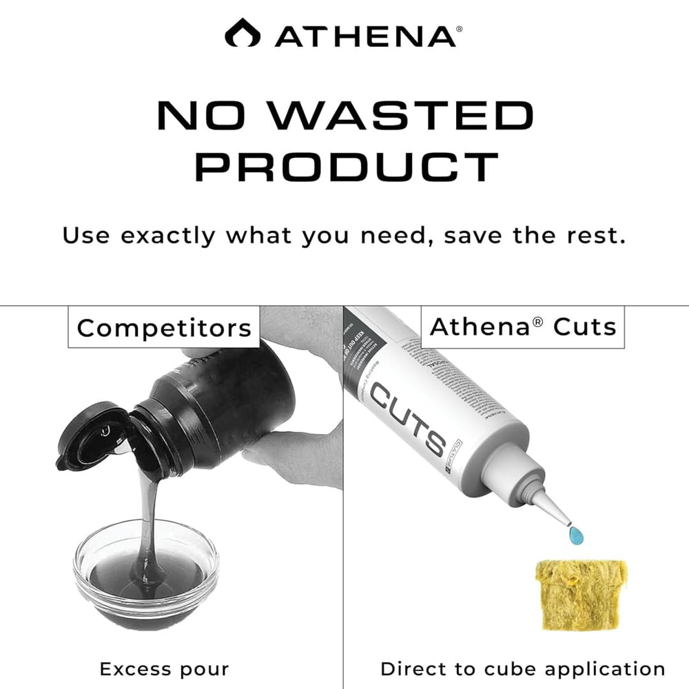Athena cutting placed in rooting plug showing successful insertion