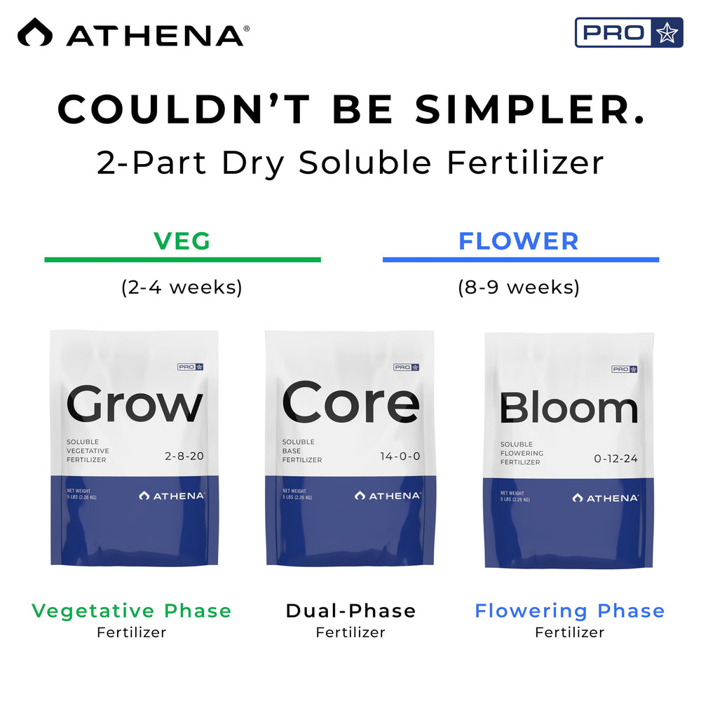 Athena Pro Core powder close-up showing fine soluble texture that dissolves cleanly for clog-free use