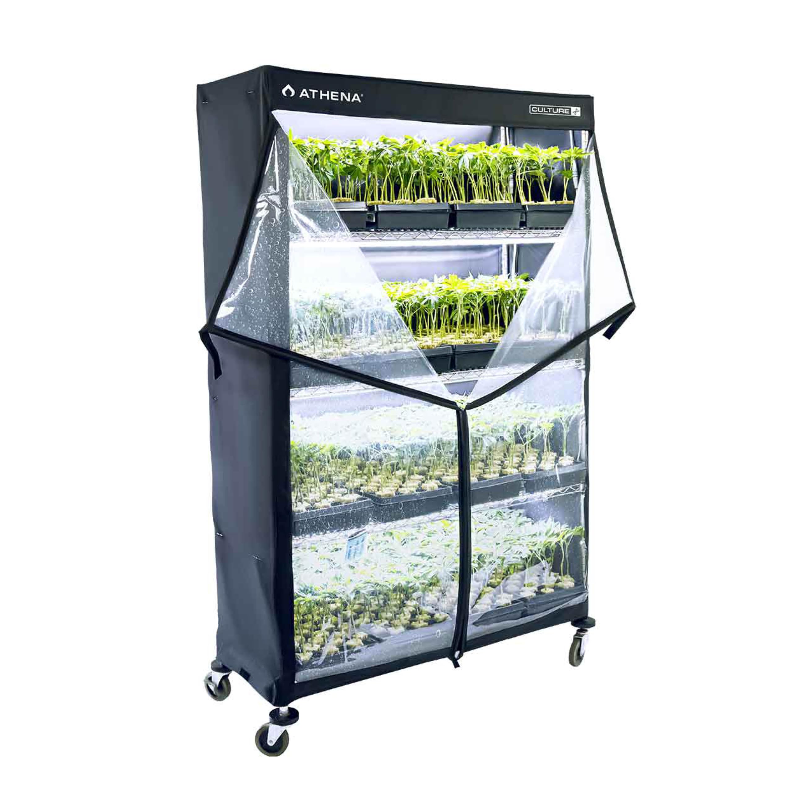 Athena front view on rack showing full coverage and organized trays benefit