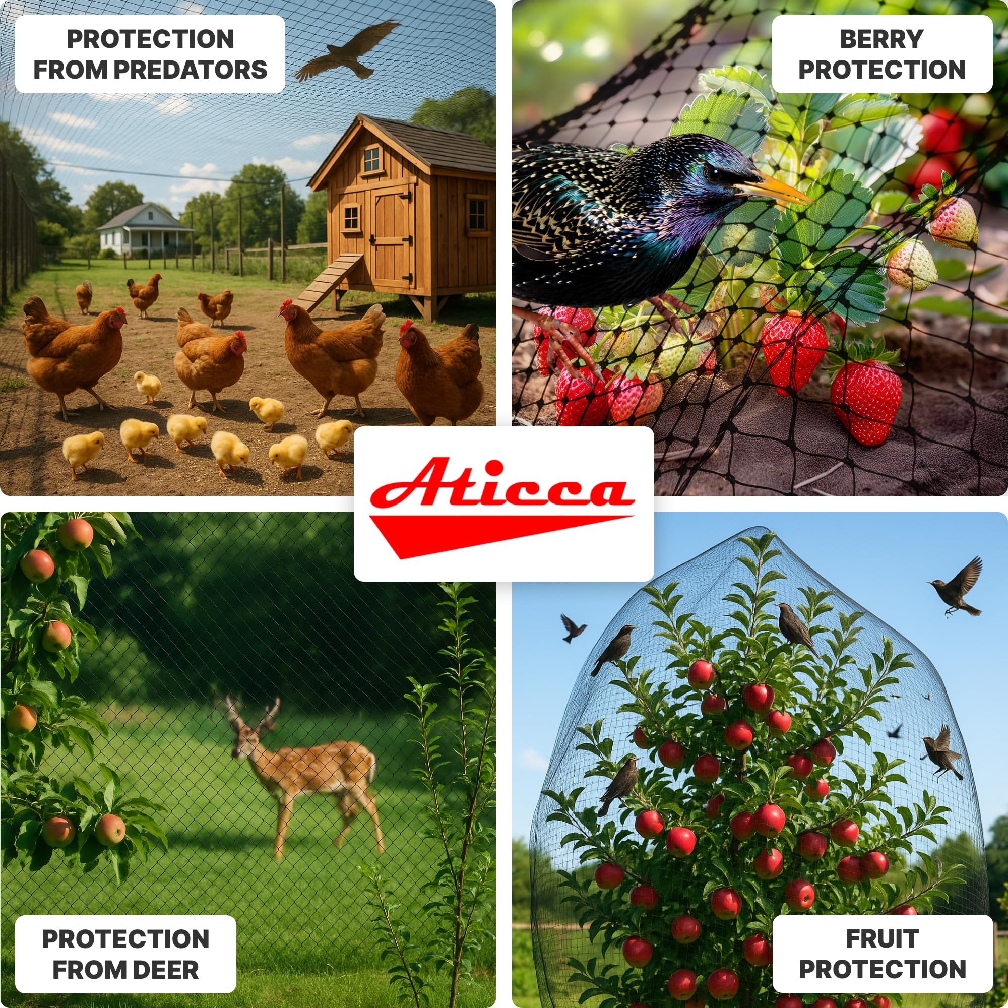 ATICCA gardener installing netting over plants, fast and easy garden protection