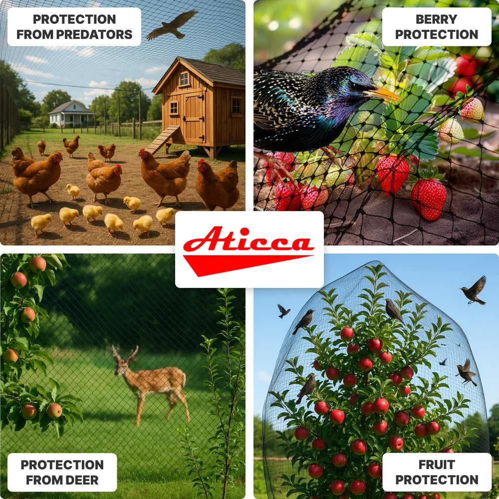 ATICCA gardener installing netting over plants, fast and easy garden protection