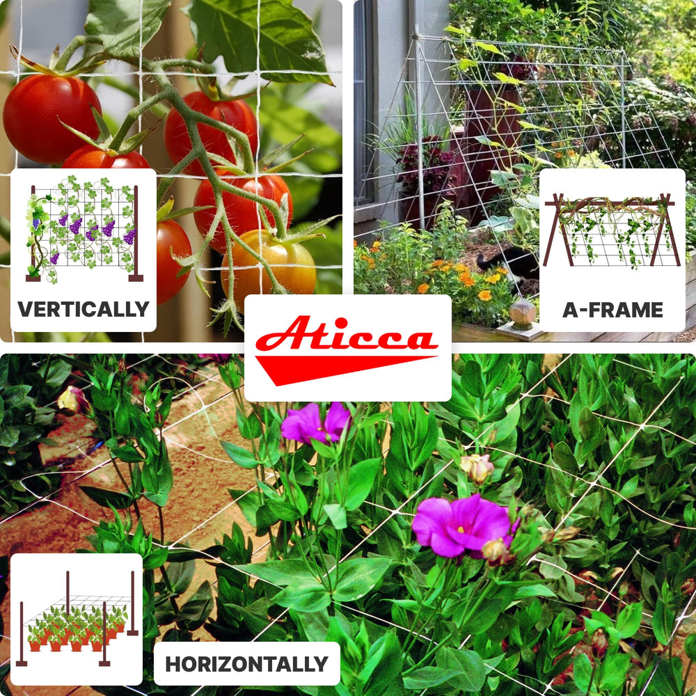 ATICCA netting supporting tomato vines for cleaner fruit and easier harvest