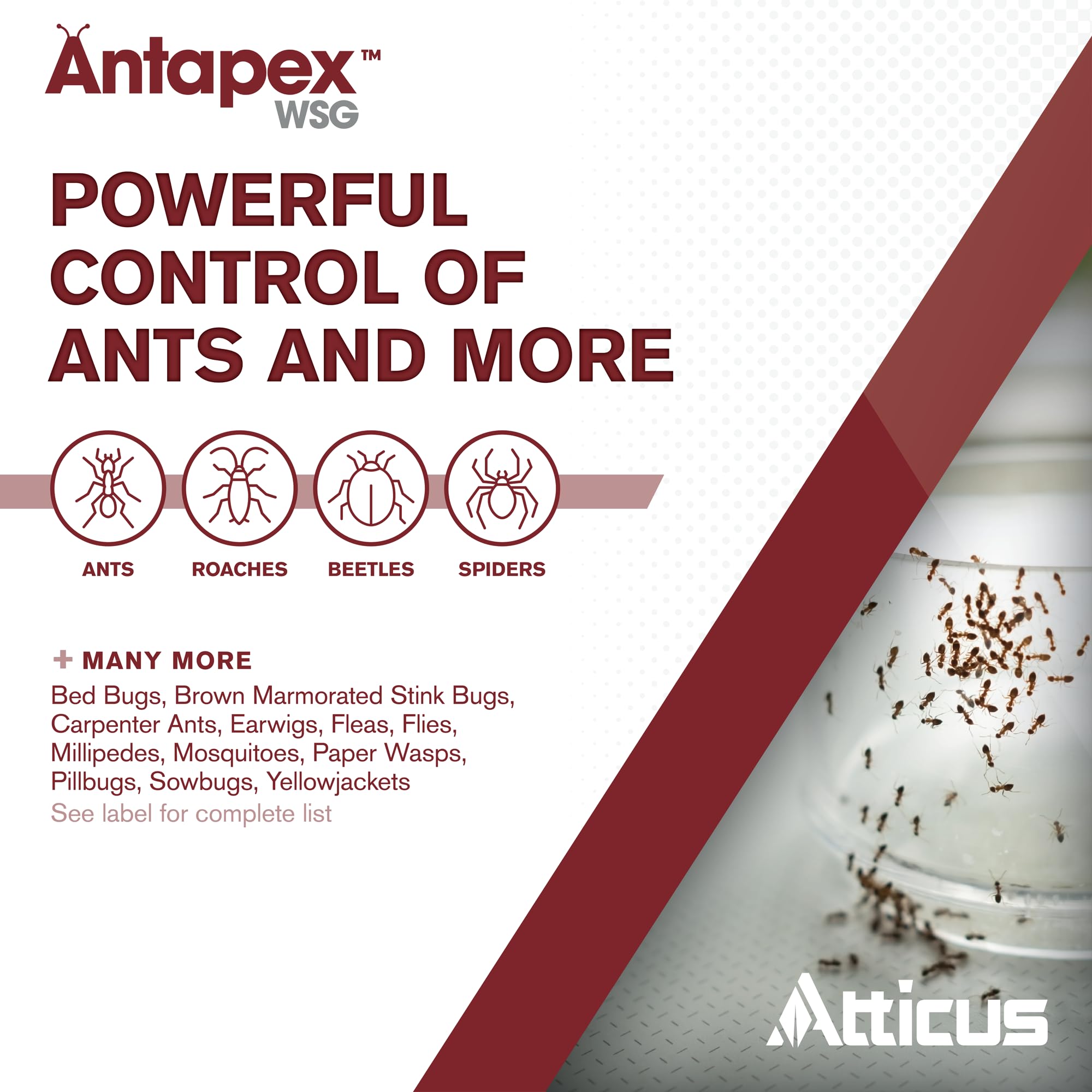 Atticus Antapex mixed solution in clear bottle showing low odor, colorless result for discreet use