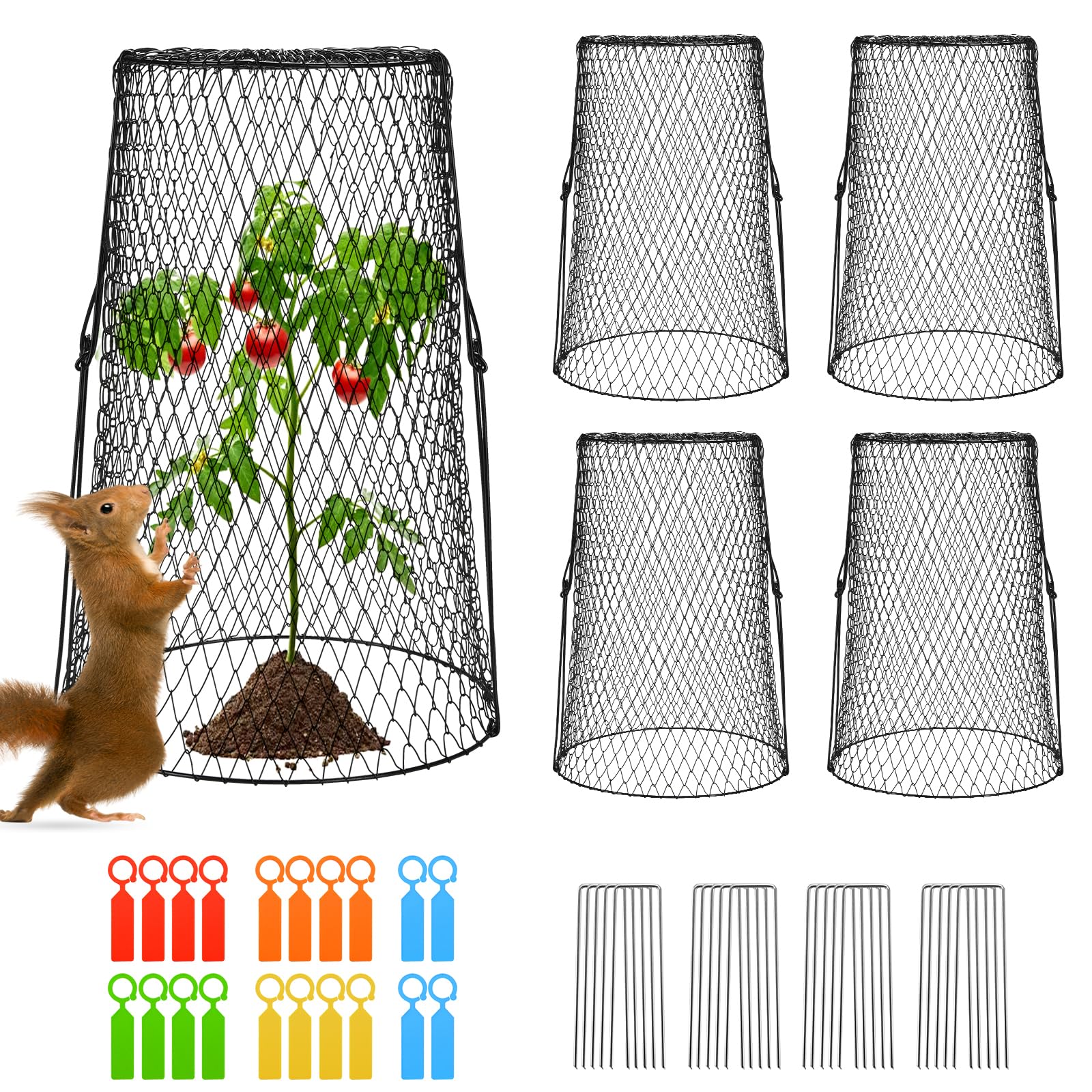 AugFir front view of five tall cloches protecting garden beds for clear coverage